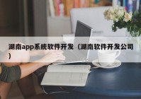 湖南app系統軟件開(kāi)發(fā)（湖南軟件開(kāi)發(fā)公司）